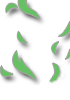 Green Lhz Aura