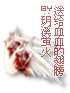 Lord Angel Wings