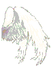 Big White Wings