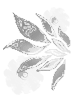 Black Bloomy Wings
