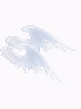 Clear Wings