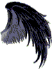 Eagle Wings