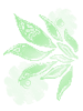 Green Bloomy Wings