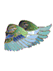 Heaven Wings