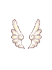 Hermes Wings