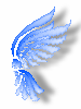 Iced Wings