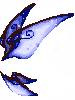 Blue Butterfly Wings