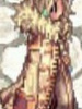Furry Gold Coat