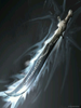 King Sword