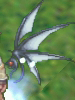 Sharp Wings