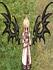 Tribal Wings